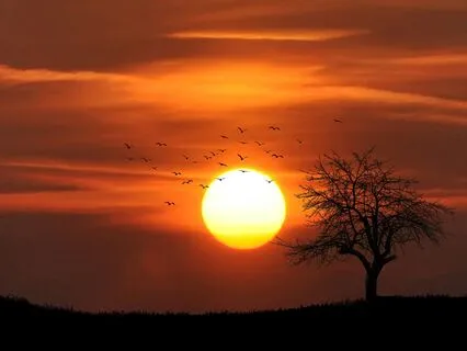 Tides | Sunset Vibes - A Calm Sound Collection For Massage