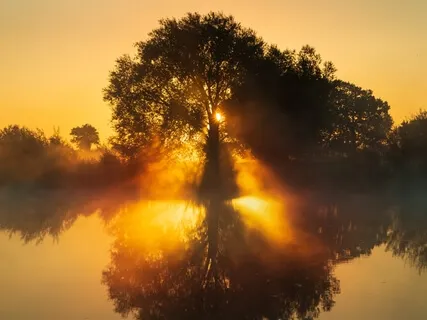 Tiefe Entspannung - Schumann Resonanz 7.83Hz