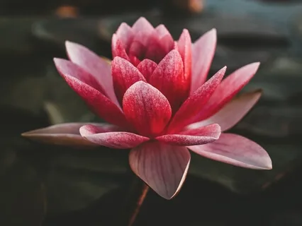 Техника Cамостоятельной Медитации с Мантрой. Для Женщин