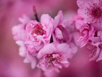 Тета Медитация На Изобилие. Антикризисная Аудионастройка