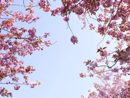 Тета-медитация на Понимание Себя и Своих Желаний