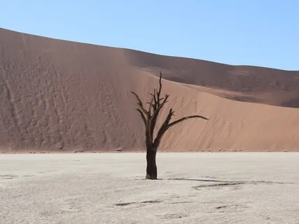 Тета-медитация Санкальпа. Связь с Высшим
