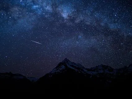 Tigers | Gentle Bedtime Reading For Sleep