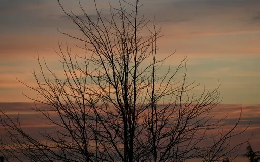 TiltedConsciousness Podcast Episode 2: Conscious Breathwork