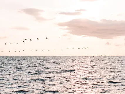 Time - What Does It Mean Plus a Mindful Moment To Slow Down