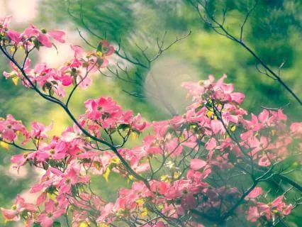 Time For A Change – Gentle Transformation