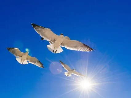 Time For Feeling Lighter