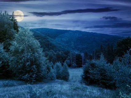 Time For Rest: Transition Into Safety