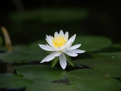 Time For Sleep Yoga Nidra