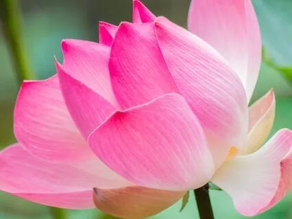 Time For You Relaxation Meditation