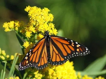 Time Is Infinite Meditation