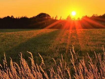 Time Jumping Home (Meditation Sleep Story)