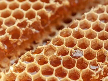 Time Restored: Chapter 11: The School