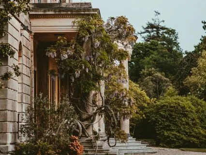 Time Restored: Chapter 8: The Grange