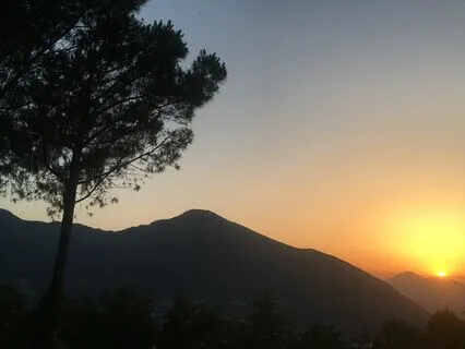 Healing Deep Sleep For You To Grow & Blossom