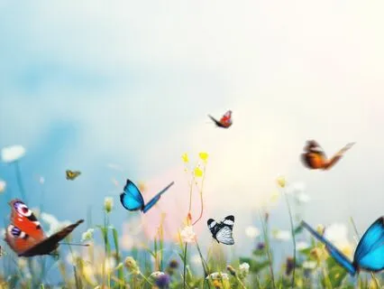 "Time To Fly" Poem, With Extra Words Of Encouragement