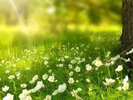 Time To Heal In Nature