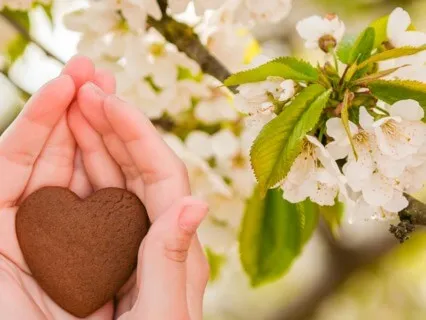 Time To Let Go Of Stress: With Solfeggio Frequencies