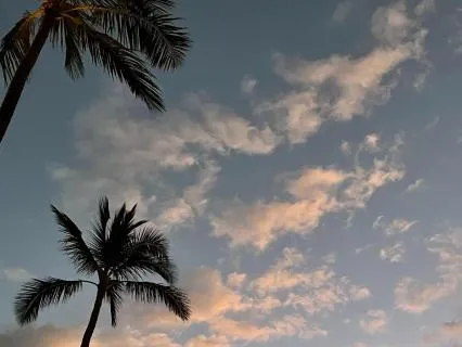 Time To Rest: Finding Joy In Letting Go