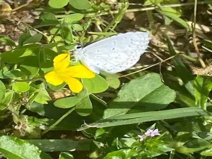 Time With Your Little Self