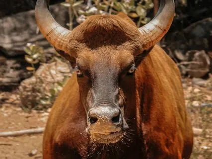 Timeful Task : Forgiveness And Letting Go