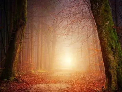 Timeful Task : How To Have A Magical Week