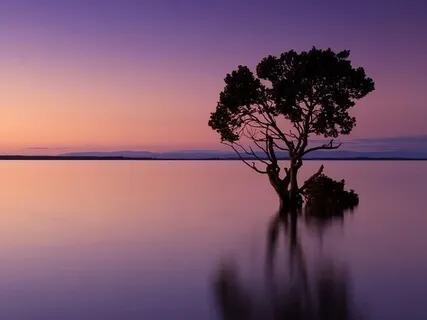 Yoga Nidra: Timeless Being