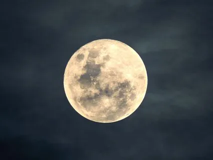 Timeless Calm | Fall Asleep Fast | Soothing Rest Music