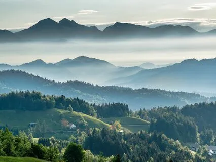 Timeless Connection - Echoes From Ancestors