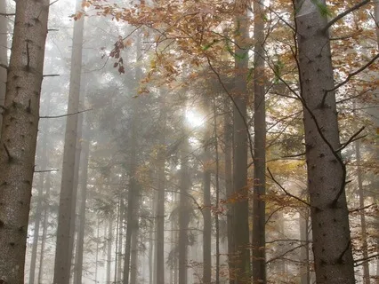 Timeless Hymns For Prayer and Meditation