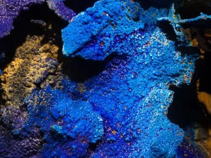 Timeless Tarot For You: Azurite Falcon