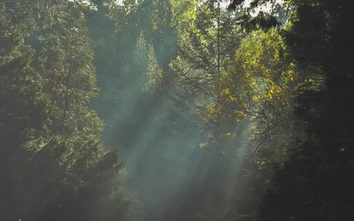 Timeless Time In My Heart