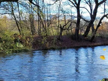 Bilateral Stimulation Music | Timeless