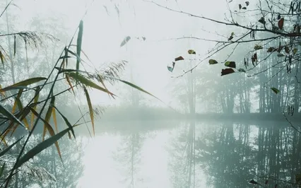 Timelessness: Melt Away Worry, Anxiety And Stress.