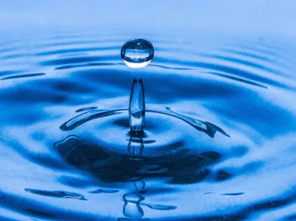 Timeline Acceleration, Quantum Co-Creation