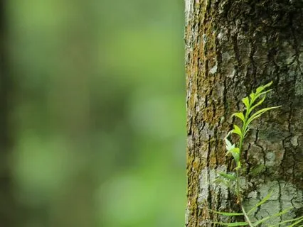 Timeline Activation - The Power Is Already Unfolding