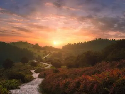 Timeline Healing - Past: Redefining Your Story