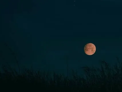 Timeline Shift Before Sleep