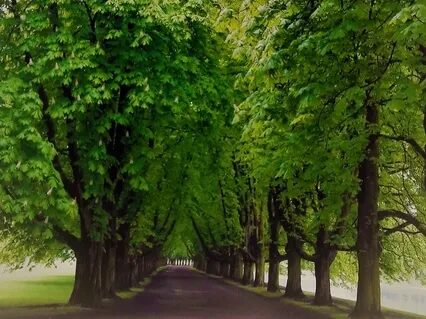 Time Travel Into The Here And Now - Experience More Happy Moments