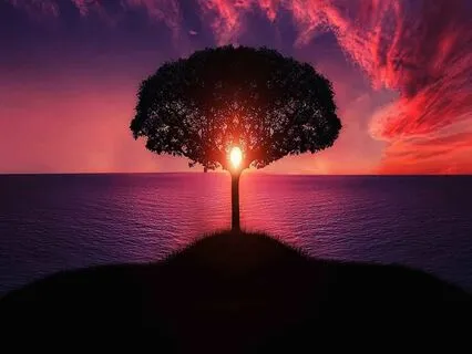 Tĩnh và Động của Tâm