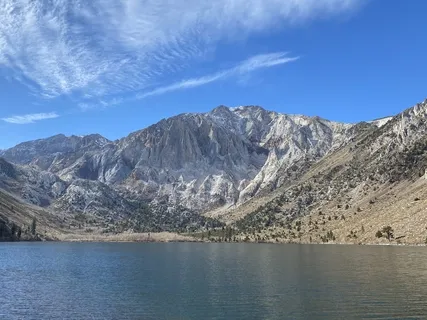 Tinnitus Habituation: Rewire Your Brain