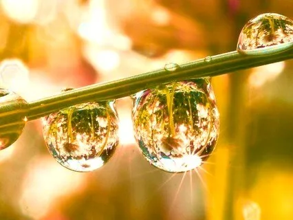 Dealing With Tinnitus