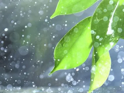 Tinnitus Relief Rain 432Hz Sleep Therapy 8hrs