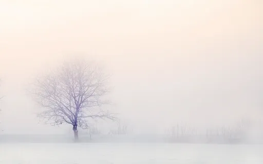 Tinnitus Sound Masking - Certified Soundscape