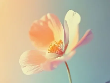 Tiny Shifts, Big Magic