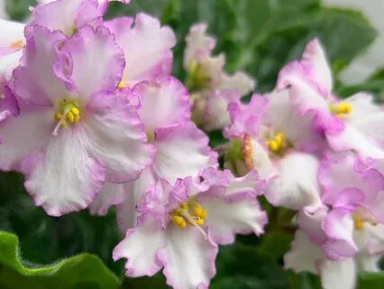 Tiny Steps: Progress Comes From Action, Not Waiting