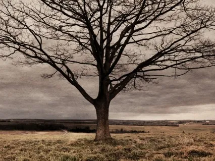 Tiny Talk Series: E15 Lewy Body Dementia