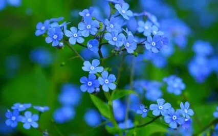 Tiny Talk Series: E20 Unmet Needs 