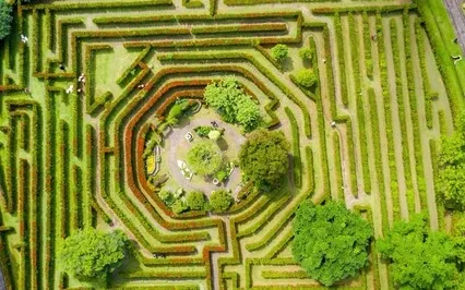 Tiny Talk Series: E22 Misunderstood Behavior