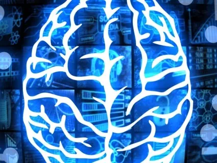 Tiny Talk Series: E5 Brain Plasticity